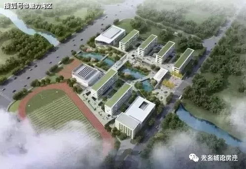 杭州湾新区请给我一个机会,让我认识你
