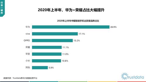trustdata 2020年上半年中国移动互联网行业发展分析报告 